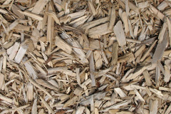 biomass boilers Folda