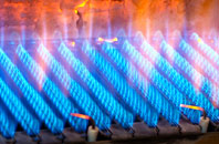 Folda gas fired boilers